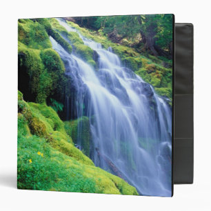 Proxy Falls in the central Oregon Cascades. Binder