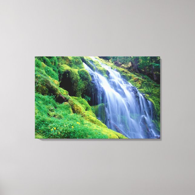 Proxy Falls in the central Oregon Cascades. Canvas Print (Front)