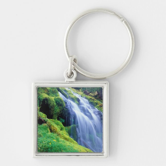 Proxy Falls in the central Oregon Cascades. Keychain (Front)