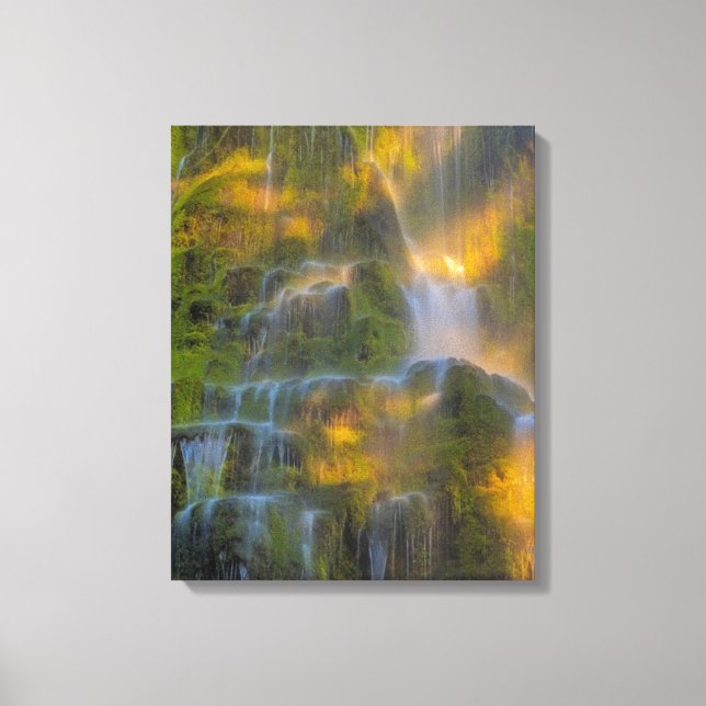 Proxy Falls Three Sisters Wilderness Oregon Canvas Print (Front)