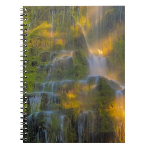 Proxy Falls Three Sisters Wilderness Oregon Notebook