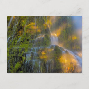 Proxy Falls Three Sisters Wilderness Oregon Postcard