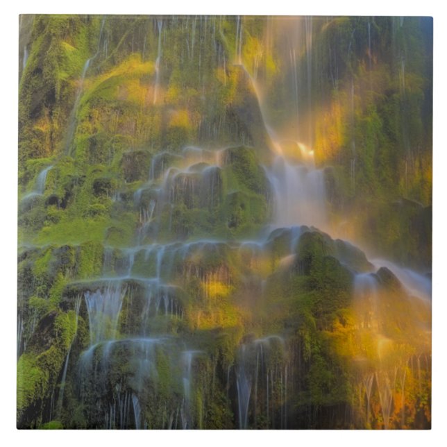 Proxy Falls Three Sisters Wilderness Oregon Tile (Front)