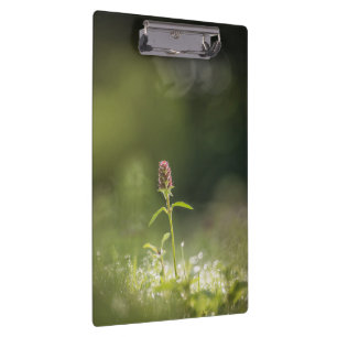 Prunella Flower Nature Photo Clipboard