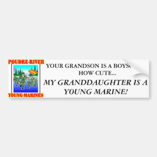 PRYM Granddaughter bumper sticker