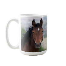 Pryor Mountain Wild Horse "Ula" 