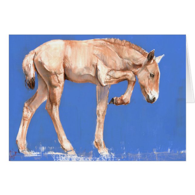 Przewalski Foal 2012 (Front Horizontal)