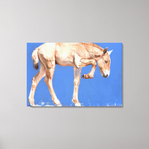 Przewalski Foal 2012 Canvas Print