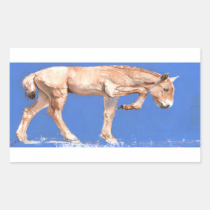 Przewalski Foal 2012 Sticker
