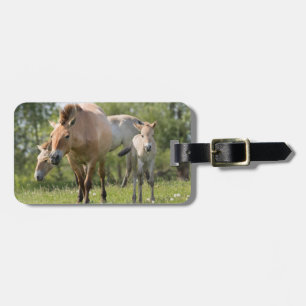 Przewalski's Horse and foal walking Luggage Tag