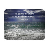Psalm 107:29 He calms the storm and stills the...