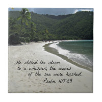 Psalm 107:29 He stilled the storm...