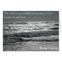 Psalm 118:14 - The Lord is my strength