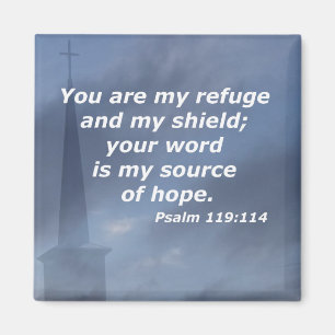 Psalm 119:114 magnet