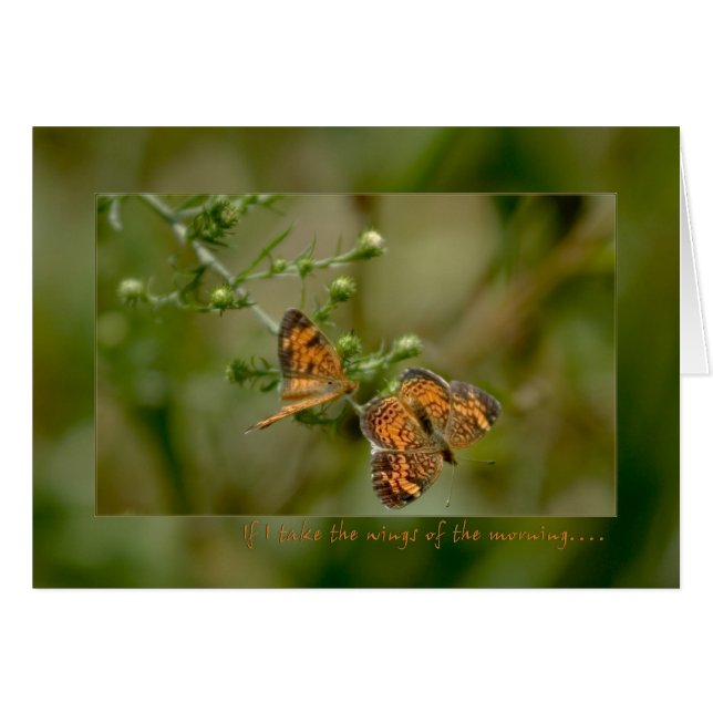 Psalm 139:9 -10 If I rise on the wings of morning (Front Horizontal)