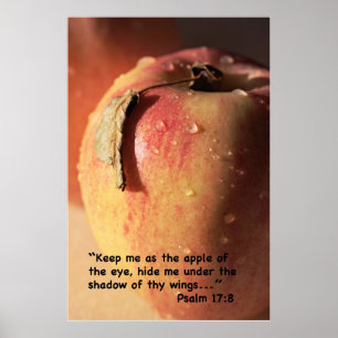 Psalm 17:8 Scripture Print