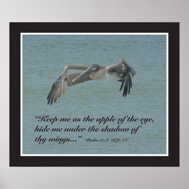 Psalm 17:8 Scripture Print (Front)