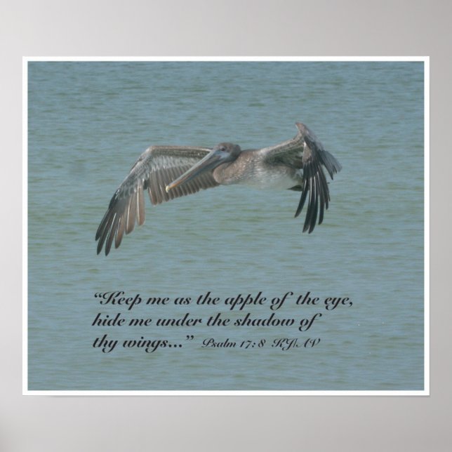 Psalm 17:8 Scripture Print, Version B Poster (Front)