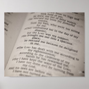 Psalm 18:19 [Print] Poster