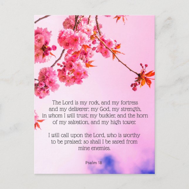 Psalm 18, Cherry blossom Christian postcard (Front)