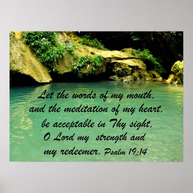 Psalm 19:14 poster (Front)