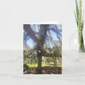 Psalm 1:1-3 Blank Card