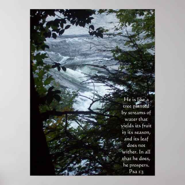 Psalm 1:3 poster (Front)