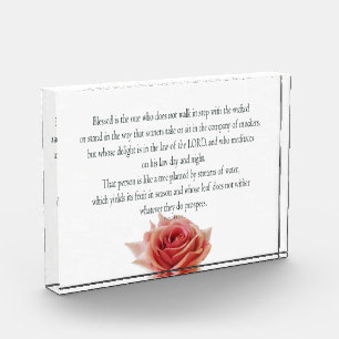 Psalm 1, Law day and Night, Streams of Waters, Photo Block