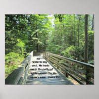 Psalm 23:3 He restores my soul, He leads me in the