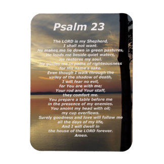 Psalm 23  (5) magnet