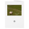 Psalm 23 Bible Verse, Irish Sheep Field Card