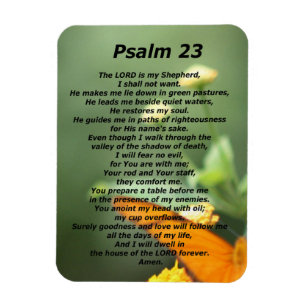 Psalm 23 magnet