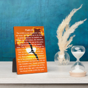 Psalm 23 Orange Sunset Seagull Plaque
