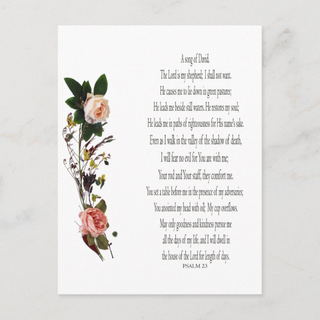Psalm 23, Song of David Postcard (Front)