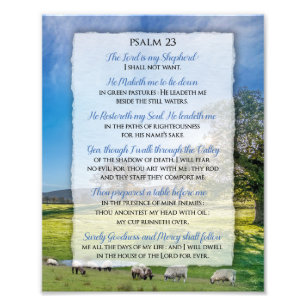 Psalm 23 - The Lord is my Shepherd  Photo Print