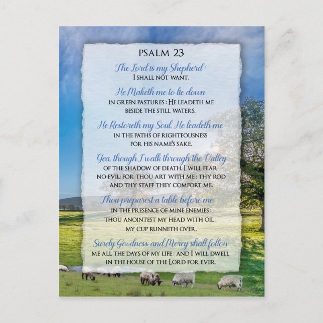 Psalm 23 - The Lord is my Shepherd  Postcard (Front)