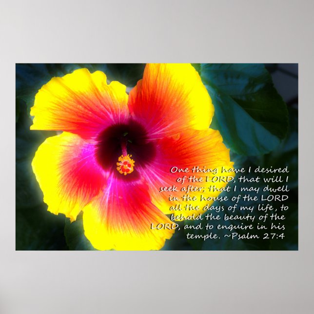 Psalm 27:4 on Dreamy Hibiscus Poster (Front)