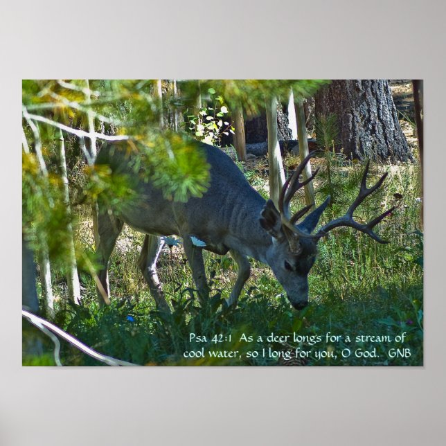 Psalm 42:1 poster (Front)