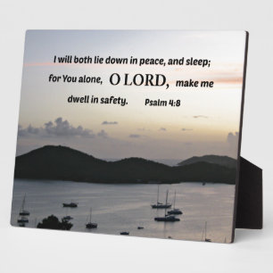 Psalm 4:8 I will both lie down in peace.... Plaque