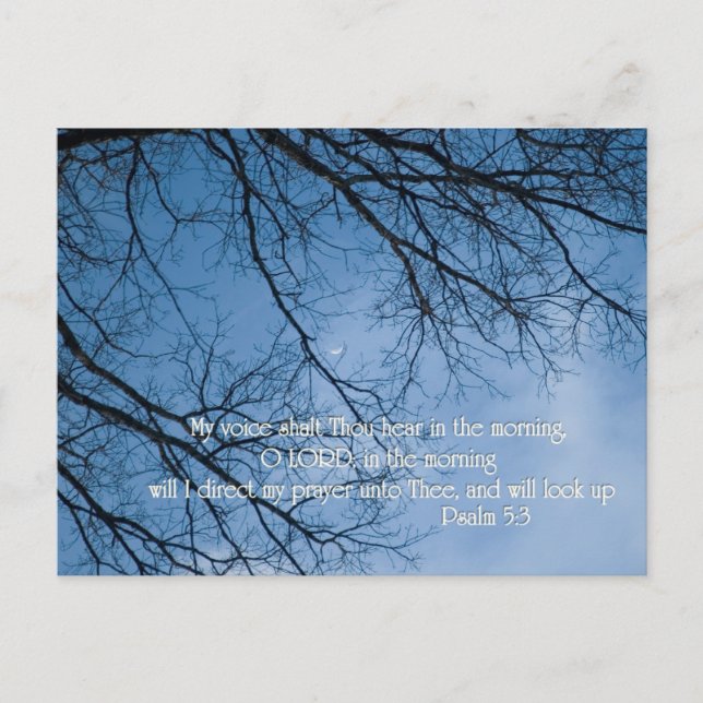 Psalm 5:3  My voice shall Thou hear in the morning Postcard (Front)