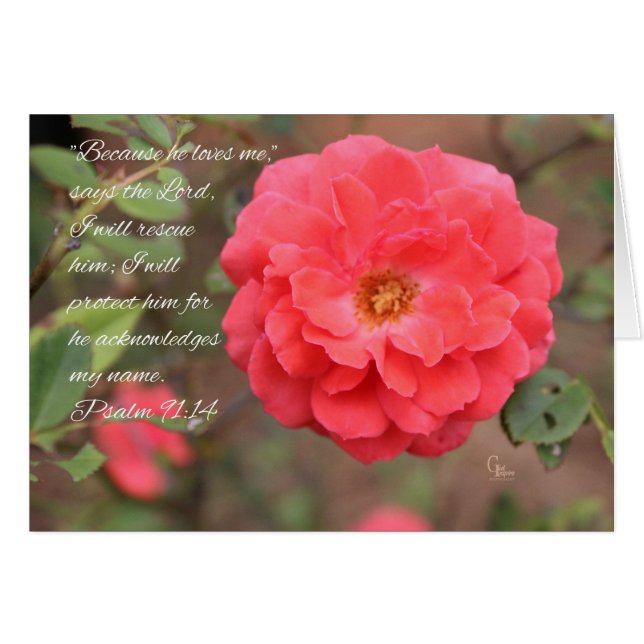 Psalm 91:14 Peachy Pink Rose Card (Front Horizontal)