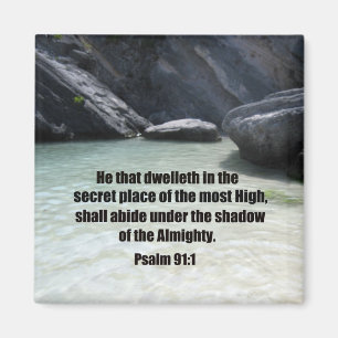 Psalm 91:1 magnet