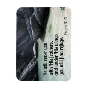 Psalm 91:4 He will cover you with His feathers Magnet