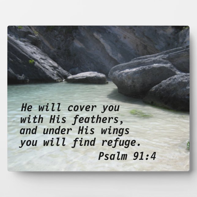 Psalm 91:4 He will cover you with His feathers Plaque (Front)