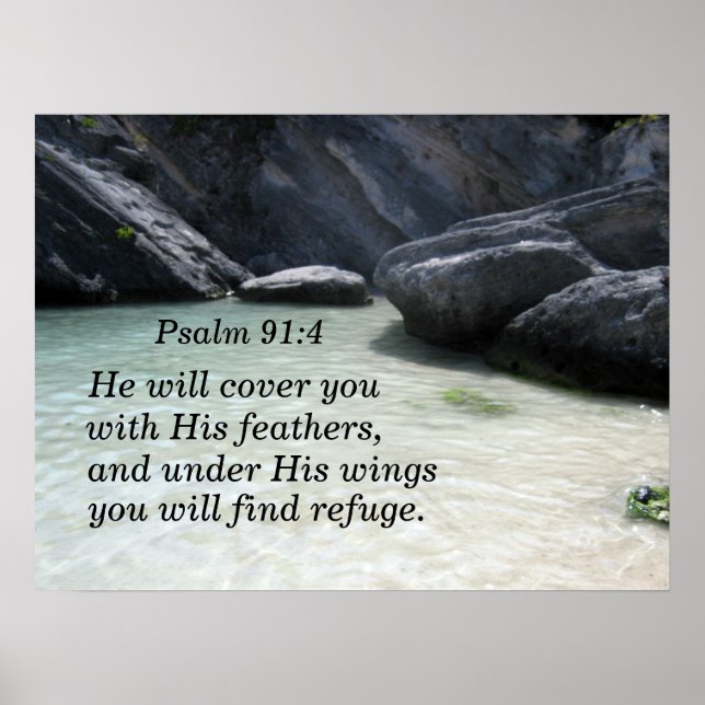 Psalm 91:4 He will cover you with His feathers Poster (Front)