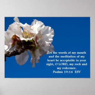 Psalms 19:14 poster