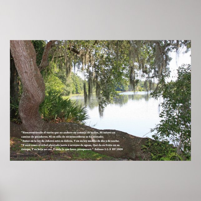 Psalms 1:1-3 (Poster with Rio and Horizontal Tree) Poster (Front)