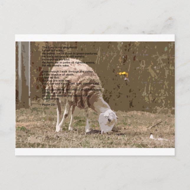 Psalms 23 postcard (Front)
