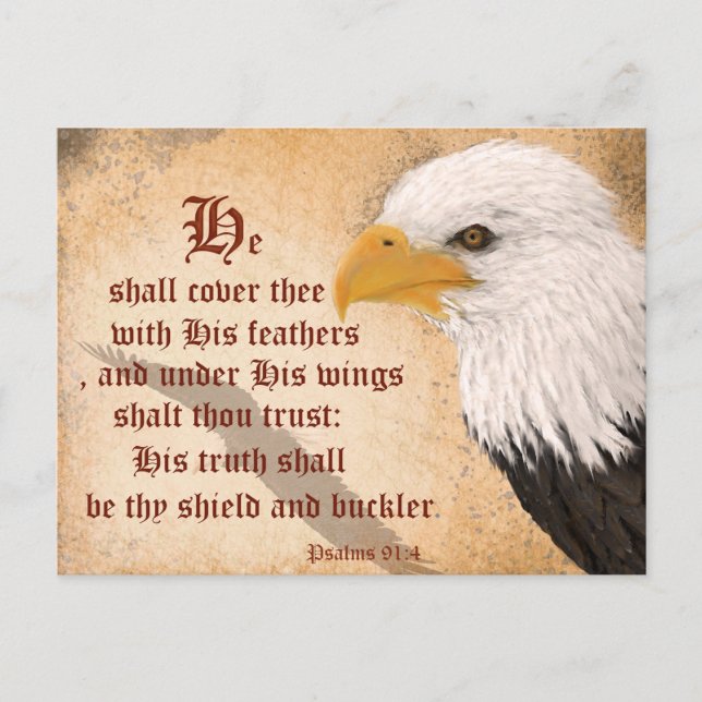 Psalms 91:4 postcard (Front)
