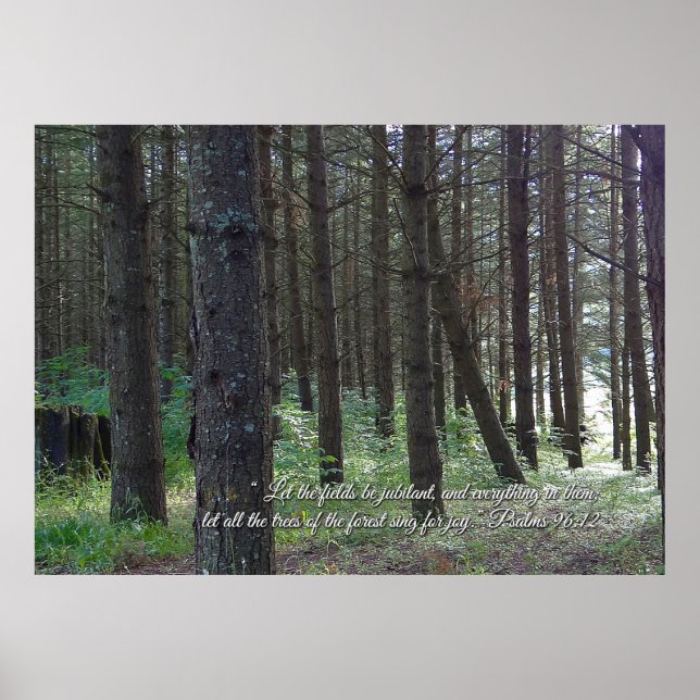 Psalms 96:12 Inspirational Poster (Front)